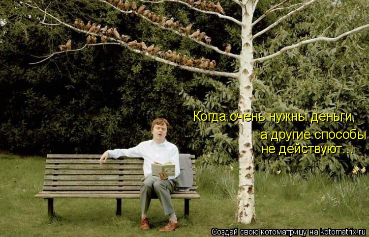 Котоматрица: Когда очень нужны деньги, а другие способы не действуют…