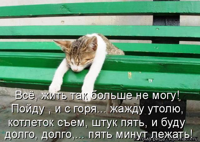Котоматрица: Всё, жить так больше не могу! Пойду , и с горя... жажду утолю, котлеток съем, штук пять, и буду долго, долго,... пять минут лежать!