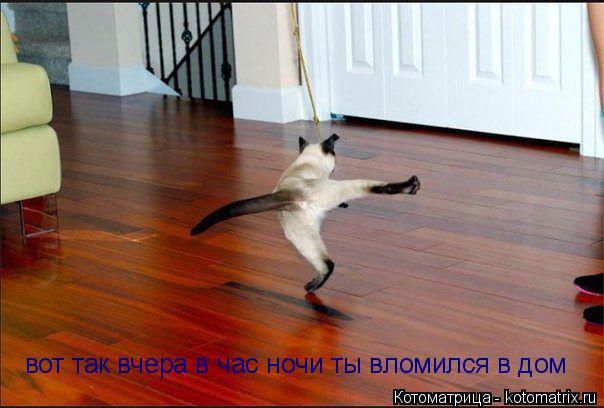 Котоматрица: вот так вчера в час ночи ты вломился в дом