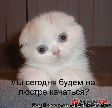 Котоматрица: Мы сегодня будем на люстре качаться?