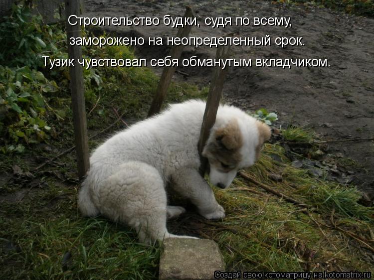 заморожено на неопределенный срок. Строительство будки, судя по всему, Тузик чувствовал себя обмануты... Котоматрица: заморожено на неопределенный срок. Строительство будки, судя по всему, Тузик чувствовал себя обманутым вкладчиком.