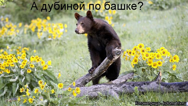 Котоматрица: А дубиной по башке?
