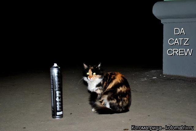 Котоматрица: DA CATZ CREW