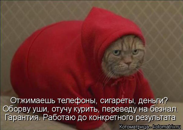 Котоматрица: Отжимаешь телефоны, сигареты, деньги? Оборву уши, отучу курить, переведу на безнал. Гарантия. Работаю до конкретного результата