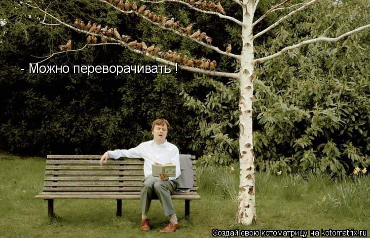 Котоматрица: - Можно переворачивать !