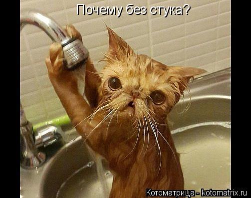 Почему без стука?... Котоматрица: Почему без стука?