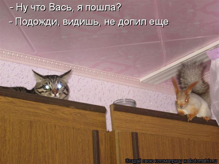 Котоматрица: - Ну что Вась, я пошла? - Подожди, видишь, не допил еще
