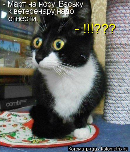Котоматрица: - Март на носу, Ваську  к ветеренару надо отнести. - !!!???