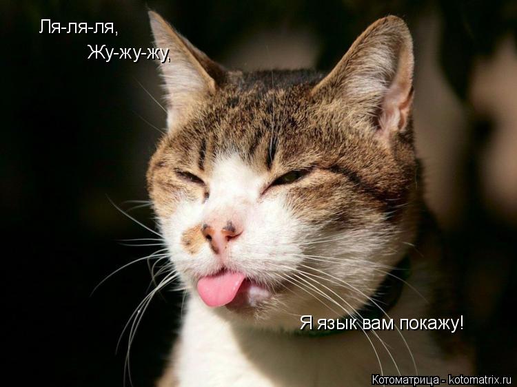 Котоматрица: Ля-ля-ля, Жу-жу-жу, Я язык вам покажу!