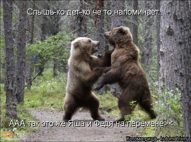 Котоматрица: Слышь-ко дет-ко че то напоминает... ААА так это же Яша и Федя на перемене><