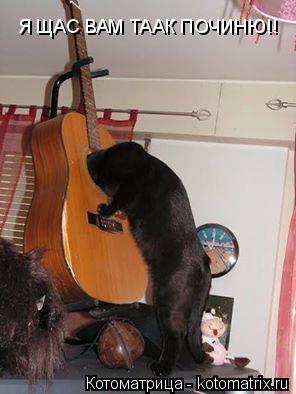 Котоматрица: Я ЩАС ВАМ ТААК ПОЧИНЮ!!