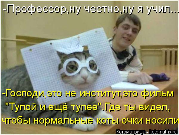 Котоматрица: -Профессор,ну честно,ну я учил... -Господи,это не институт,это фильм "Тупой и ещё тупее".Где ты видел, чтобы нормальные коты очки носили