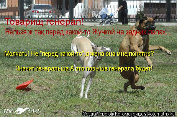 Котоматрица: Молчать! Не "перед какой-то",а жена она мне,понятно? Значит,генеральша.А это повыше генерала будет! Нельзя ж так,перед какой-то Жучкой на задн