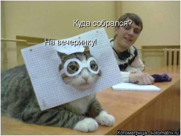 Котоматрица: Куда собрался? На вечеринку!