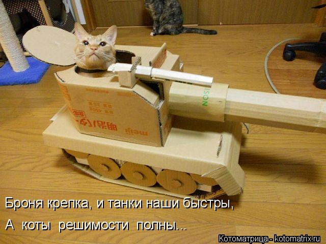Котоматрица: Броня крепка, и танки наши быстры,  А  коты  решимости  полны...