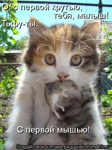С первой мышью! О, с первой крутью, Тьфу-ты. тебя, малыш!... Котоматрица: С первой мышью! О, с первой крутью, Тьфу-ты. тебя, малыш!