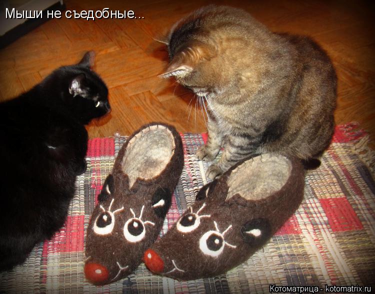 Котоматрица: Мыши не съедобные...