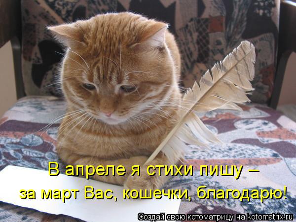 Котоматрица: В апреле я стихи пишу – за март Вас, кошечки, благодарю!