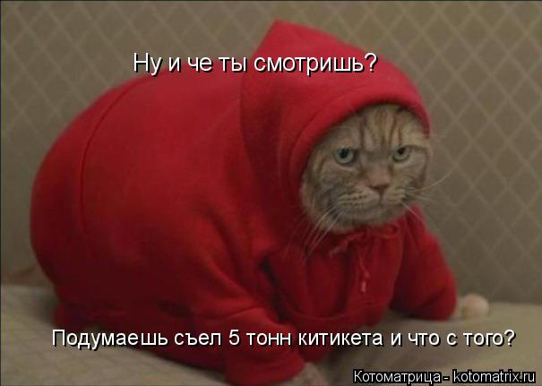 Котоматрица: Ну и че ты смотришь? Подумаешь съел 5 тонн китикета и что с того?