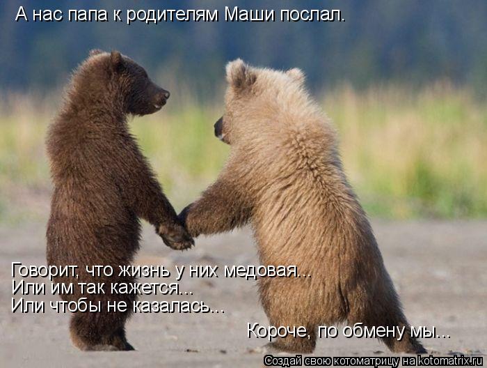 А нас папа к родителям Маши послал. Говорит, что жизнь у них медовая... Или им так кажется... Или что... Котоматрица: А нас папа к родителям Маши послал. Говорит, что жизнь у них медовая... Или им так кажется... Или чтобы не казалась... Короче, по обмену мы...