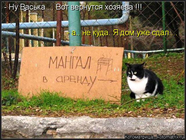 Котоматрица: - Ну Васька ... Вот вернутся хозяева !!! - а.. не куда. Я дом уже сдал....