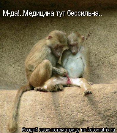 Котоматрица: М-да!..Медицина тут бессильна..