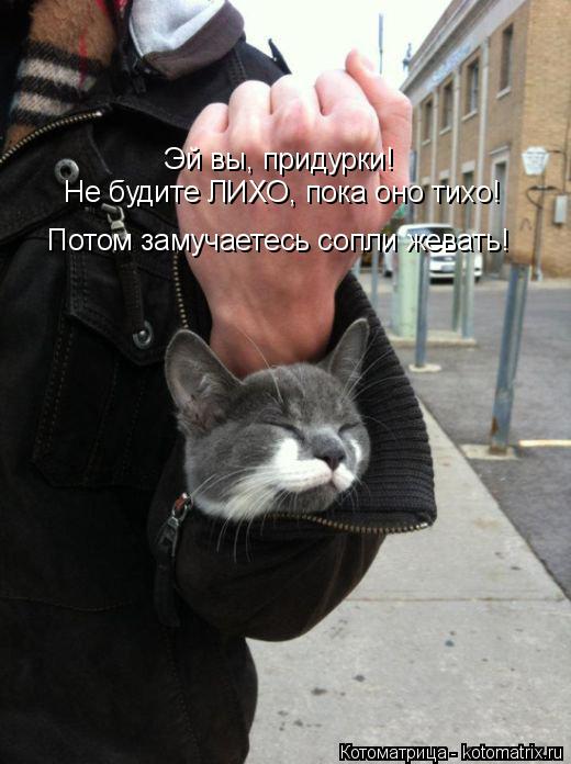 Котоматрица: Эй вы, придурки!  Не будите ЛИХО, пока оно тихо! Потом замучаетесь сопли жевать!
