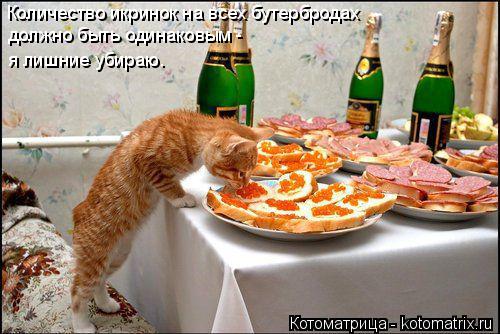 Котоматрица: Количество икринок на всех бутербродах  должно быть одинаковым - я лишние убираю.