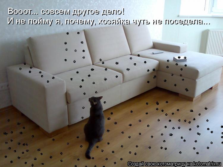 Котоматрица: Вооот... совсем другое дело! И не пойму я, почему, хозяйка чуть не поседела...