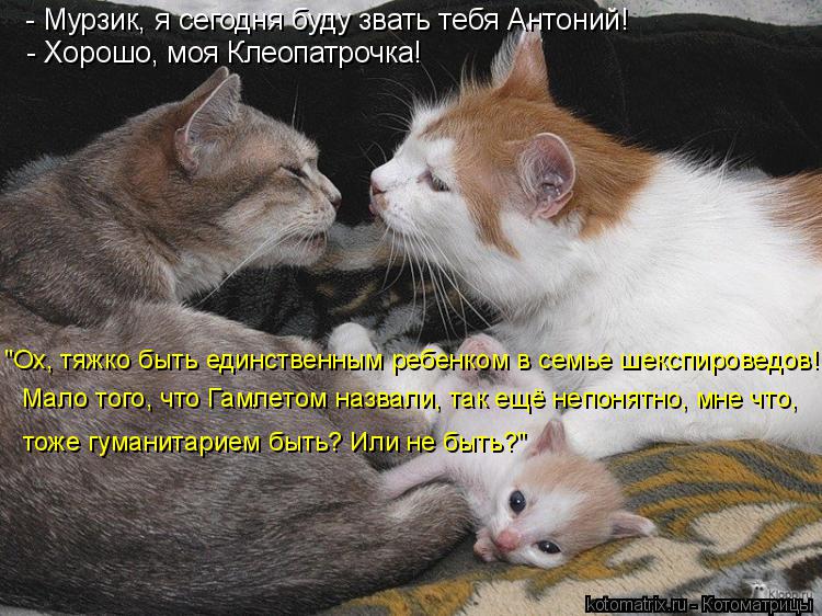 Я тебя поймаю и свяжу Я тебя поймаю и свяжу