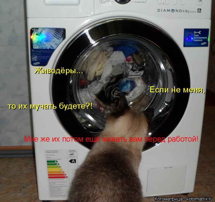 Котоматрица: Живодёры... Если не меня, то их мучать будете?! Мне же их потом ещё жевать вам перед работой!