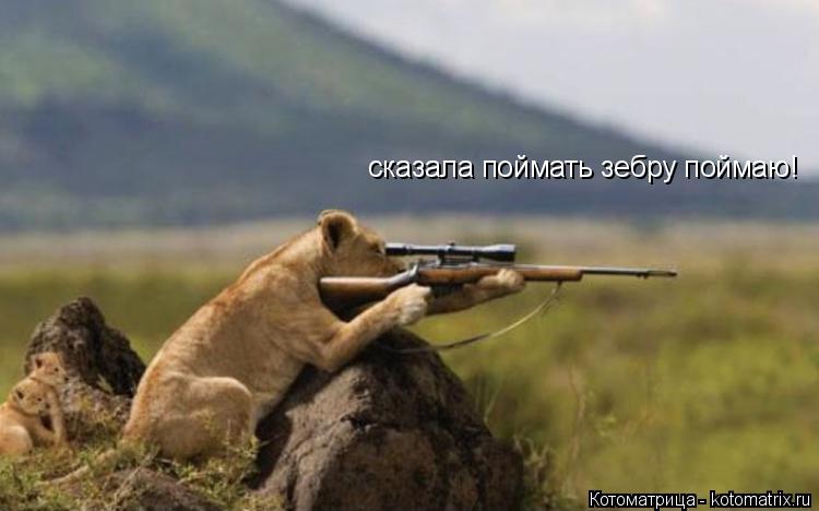 Котоматрица: сказала пойм сказала поймать зебру поймаю! сказала поймать зебру поймаю!