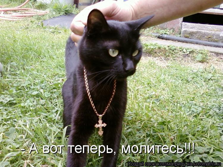 Котоматрица: - А вот теперь, молитесь!!!