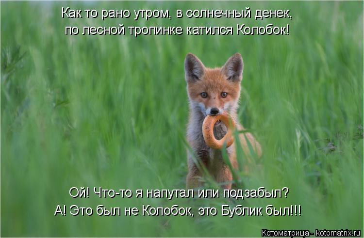 Котоматрица: по лесной тропинке катился Колобок! А! Это был не Колобок, это Бублик был!!! Как то рано утром, в солнечный денек, Ой! Что-то я напутал или подза
