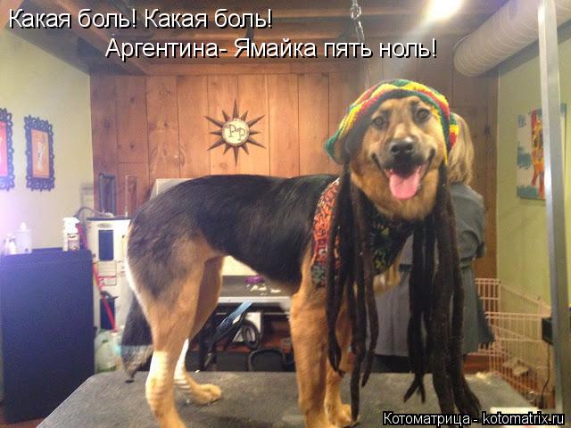 Котоматрица: Какая боль! Какая боль! Аргентина- Ямайка пять ноль!