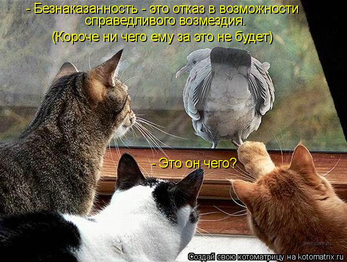 Котоматрица: - Это он чего? - Безнаказанность - это отказ в возможности справедливого возмездия.  (Короче ни чего ему за это не будет)