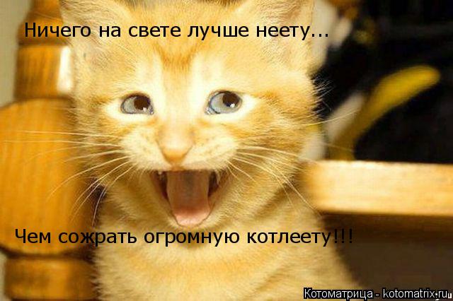 Котоматрица: Ничего на свете лучше неету... Чем сожрать огромную котлеету!!!