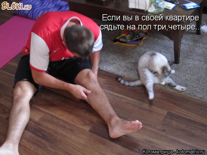 Котоматрица: Если вы в своей квартире сядьте на пол три,четыре...