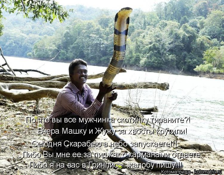 Котоматрица: Либо Вы мне ее за пиджак с карманами отдаете.... Либо я на вас в Гринпис -  жалобу пишу!!! По что вы все мужчинка скотинку тираните?! Вчера Машку 