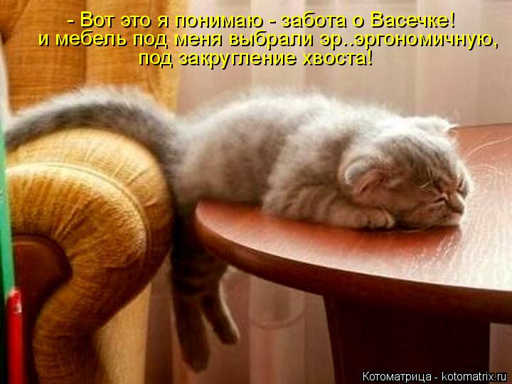 Котоматрица: - Вот это я понимаю - забота о Васечке! и мебель под меня выбрали эр..эргономичную, под закругление хвоста!
