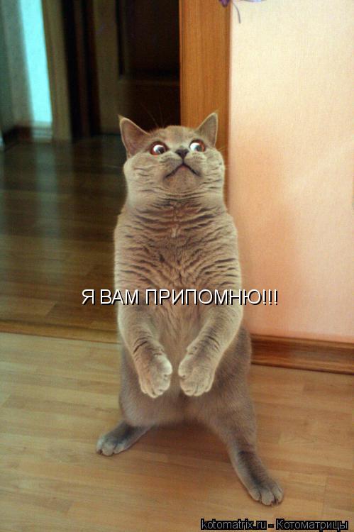 Котоматрица: Я ВАМ ПРИПОМНЮ!!!