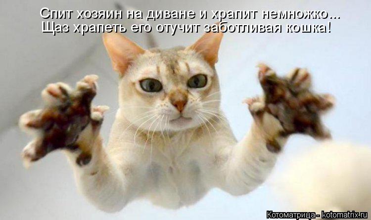 Спит хозяин на диване и храпит немножко... Щаз храпеть его отучит заботливая кошка!... Котоматрица: Спит хозяин на диване и храпит немножко... Щаз храпеть его отучит заботливая кошка!