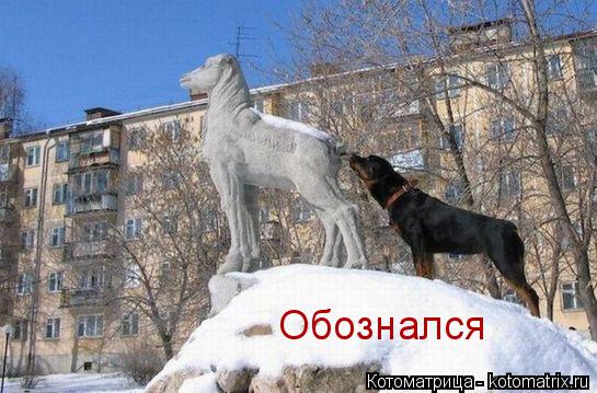 Котоматрица: Обознался
