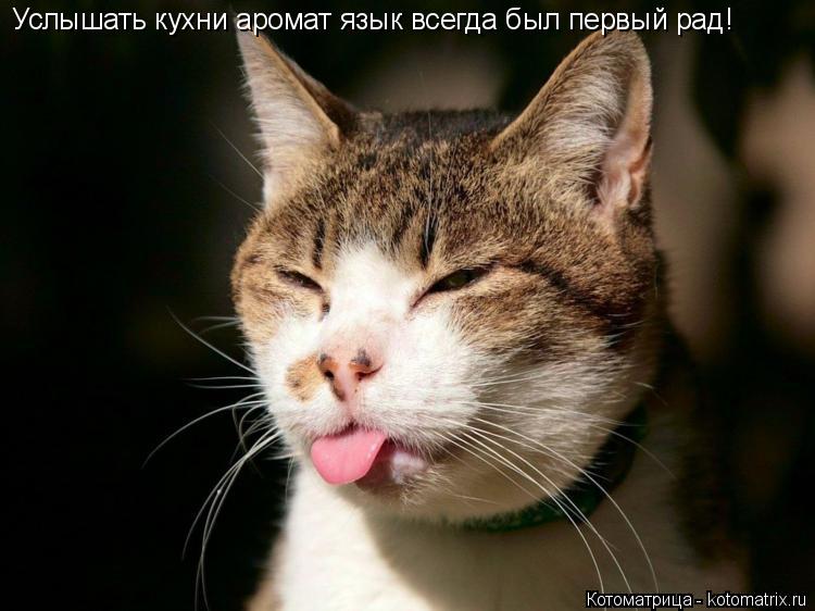 Котоматрица: Услышать кухни аромат язык всегда был первый рад!