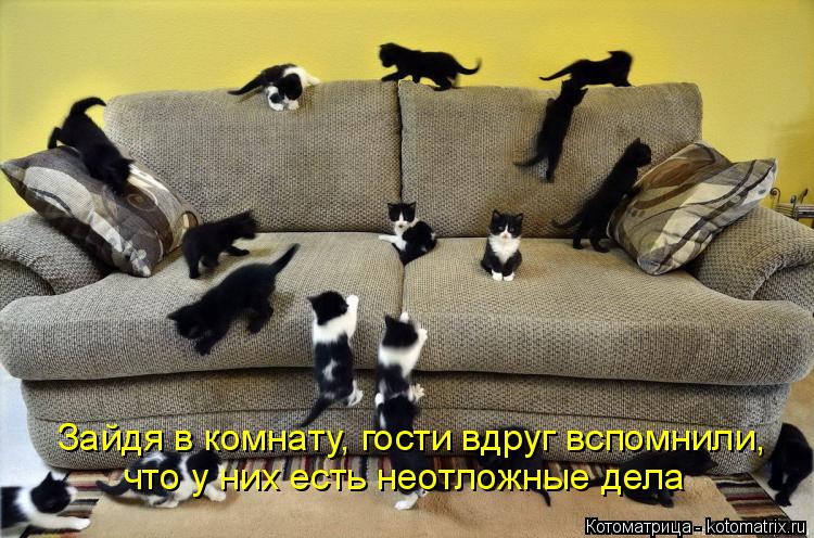 Котоматрица: Зайдя в комнату, гости вдруг вспомнили, что у них есть неотложные дела