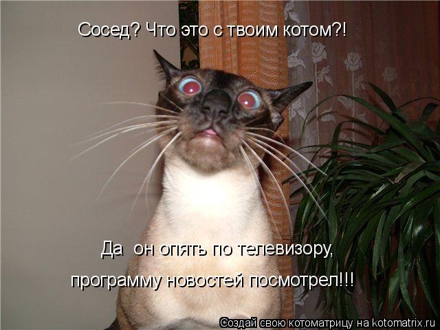 Котоматрица: Сосед? Что это с твоим котом?! Да  он опять по телевизору,  программу новостей посмотрел!!!