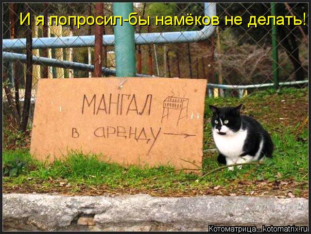Котоматрица: И я попросил-бы намёков не делать!