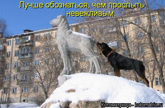 Лучше обознаться, чем прослыть невежливым.... Котоматрица: Лучше обознаться, чем прослыть невежливым.