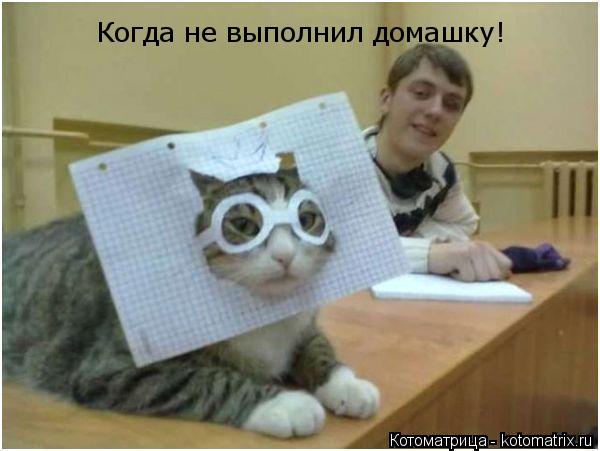 Котоматрица: Когда не выполнил домашку!