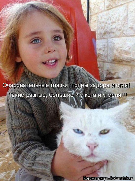 Котоматрица: Очаровательные глазки, полны задора и огня! Такие разные, большие и у кота и у меня!!!